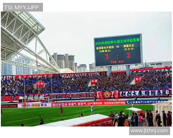 足球藏蔡的魅力与挑战探索中国足球发展的新路径与未来愿景